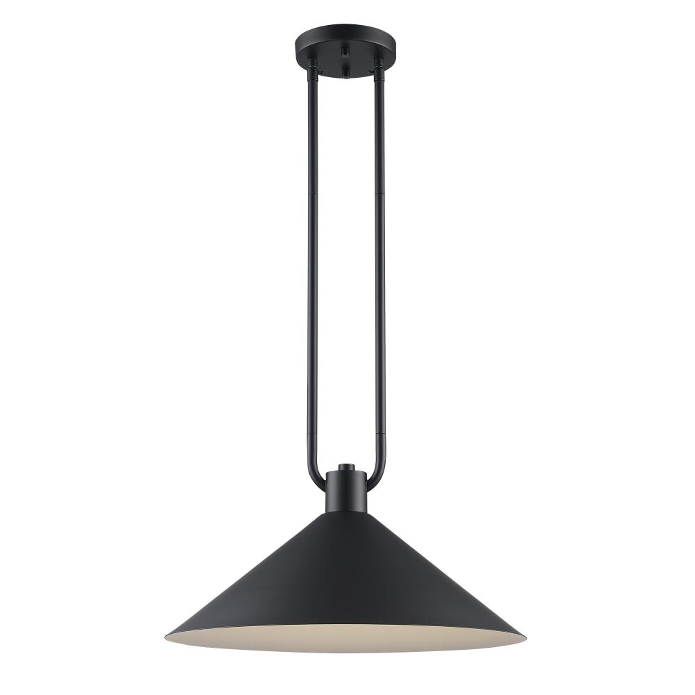 1LT PENDANT-17" DOUBLE ROD-BK